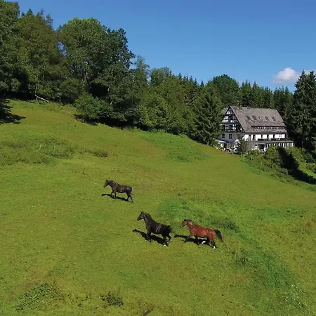 Holiday home Large House In In The Sauerland Region