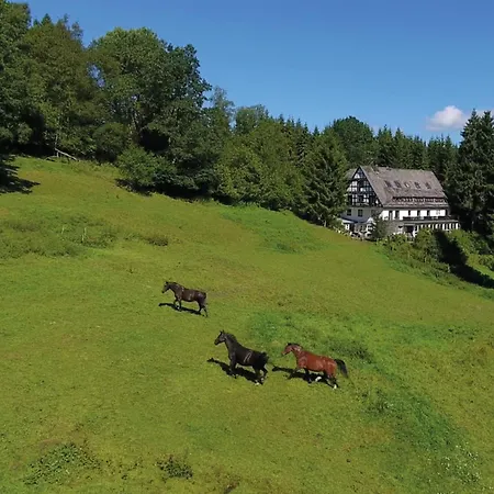 Large House In In The Sauerland Region * Winterberg